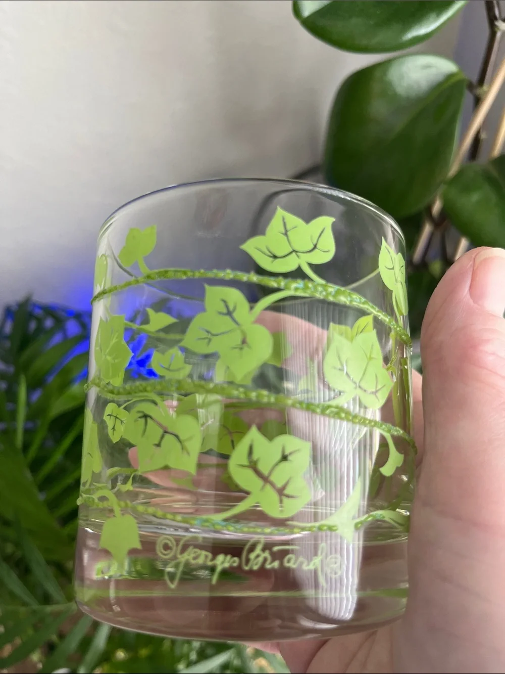 Georges Briard Rare Ivy With Glittered Vine Signed Set of 4 NEW Collectible